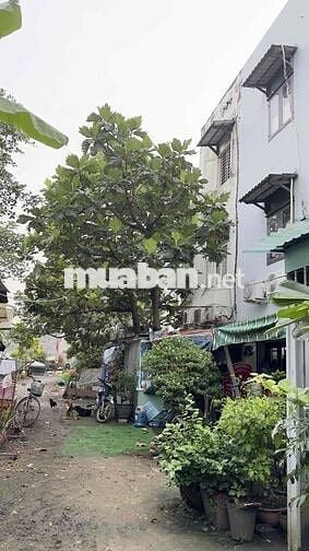 nhà phố 1 trệt, 2 lầu đường xe hơi vào tận nhà, cơ sân trước sân sau