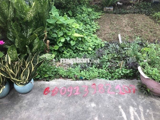 Đất 55m2 Xích Thổ, Hồng Thái HXH 5m giá chỉ 1,15 tỷ đồng