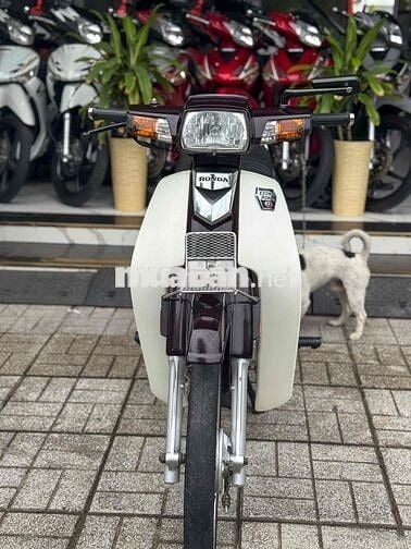 🌈 SUPPER DREAM HSCT XE CỨNG CÁP MÁY ÊM NGON💥CÓGÓP💥