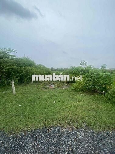 Bán đất thổ cư.DT:75m2.Giá 850triệu