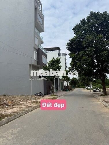 CẦN BÁN ĐẤT ĐẤU GIÁ CỔ LINH LONG BIÊN HÀ NỘI.