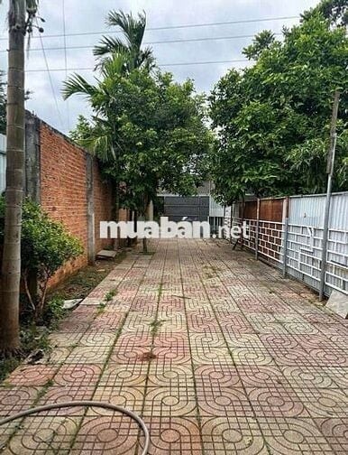Cho thuê nhà nguyên căn ở gia đình