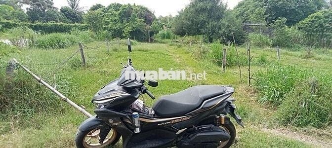 Cần bán đất đường Pháo Binh, Thanh Phước, Gò Dầu, Tây Ninh