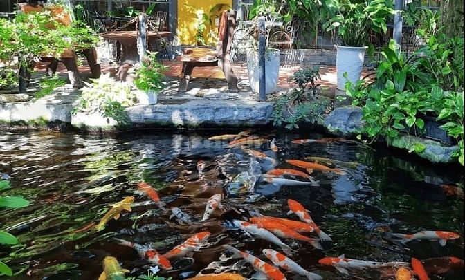 🌿 GÓC TUYỂN DỤNG NHÀ HAVEN – THÁNG 11 🌿