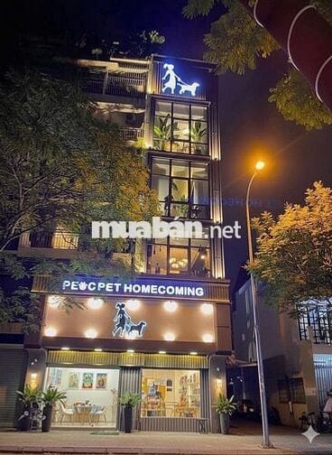 🏡 Nhà 5 Tầng Trịnh Văn Cấn Q1 – Sàn Suốt, Vị Trí Đẹp, Giá 75Tr 🔑