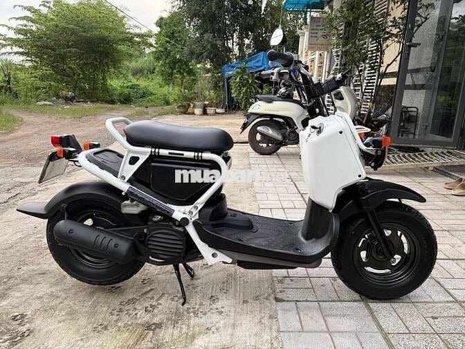 Honda Zoomer 50cc  đi học - đi chợ - đi cà phê