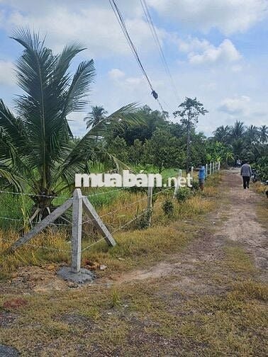 20x41 có 200m2 thổ cư. Đường nhựa ngay KCN . 2,72 tỷ