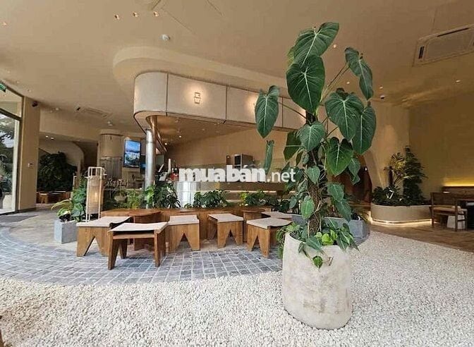 Cho Thuê Nhà Góc 2MT Trường Sơn, Cư Xá Bắc Hải, Quận 10