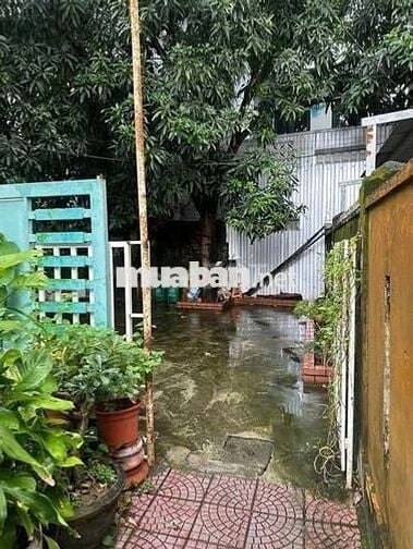 CẦN BÁN LÔ ĐẤT 154M² – ĐƯỜNG PHÓ ĐỨC CHÍNH, SƠN TRÀ, ĐÀ NẴNG