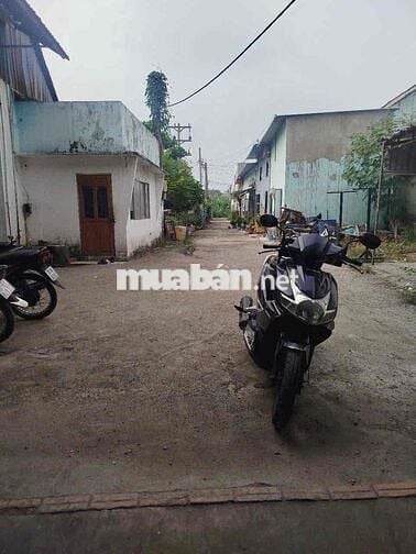 Cần cho thuê Kho Xưởng Linh Xuân. Thủ Đức