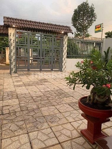 Khách sạn mặt tiền khu Sông Thao, thu nhập 30tr/1th, 3,5 tỷ