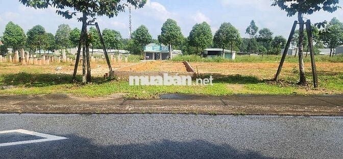 Đất mặt tiền vành đai.4. Phù hợp kinh doanh