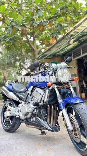 hornet 919 nguyên zin rất đẹp