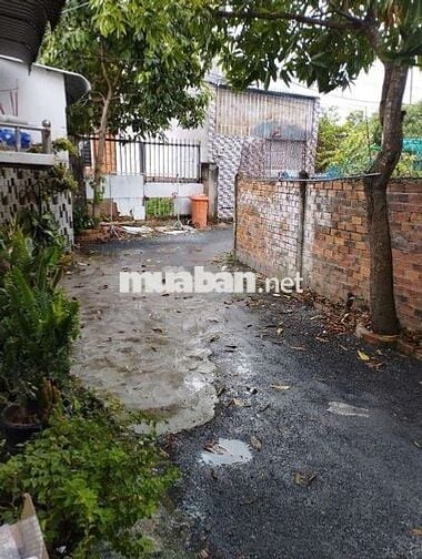 Cần cho thuê căn phòng có máy Lạnh