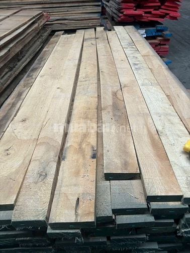 sồi trắng giá oke , chất lượng tốt