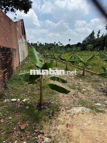 2 lô liền kề Mặt tiền An sơn 19 thuận An  Bình Dương cũ   Tổng diện tí