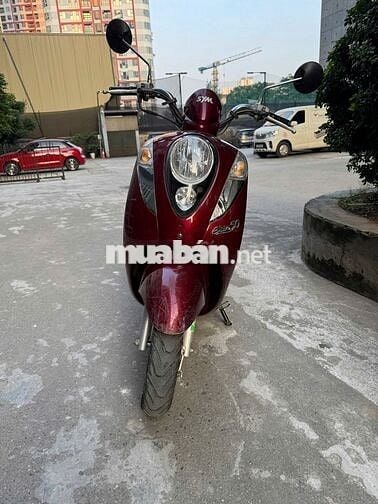 Cần bán xe Elite 50cc