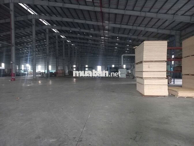 Cho thuê kho xưởng 10.000m2 CCN Bến Lức Long An ,giá thuê : 3.1 usd/m2
