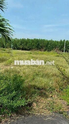 Bán đất tại Phước Hải, 1,2 tỷ, 149m2, pháp lý đầy đủ, mặt tiền rộng 6m