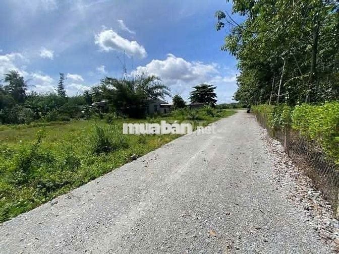 Full thổ cư gần KCN, sổ sẵn. 10m mặt tiền. 230tr