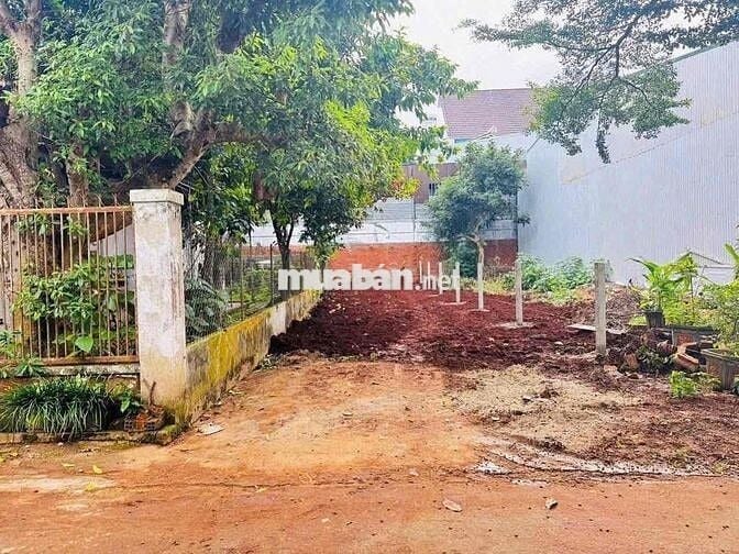 đất hẻm Nguyễn Hữu Thấu trung tâm phường Tân Lợi đường oto khu dân cư