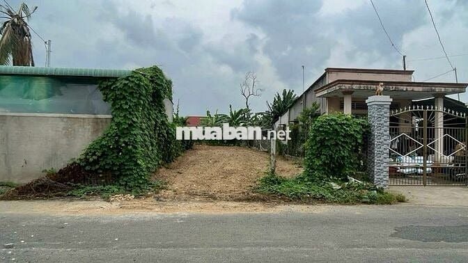 Cần Bán 2 Lô Liền Kề Mặt Tiền Đường Kinh Doanh, Nghỉ Dưỡng