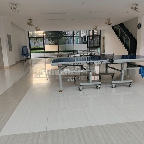 Dạy bóng bàn từ cơ bản đến nâng cao Tphcm