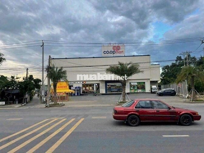 Mặt tiền đường nhựa 118m2 . Cần Giuộc