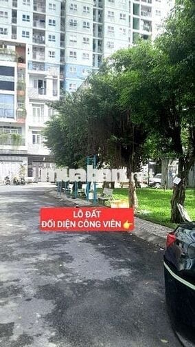Lô đất ngay Công Viên Tô Hiệu - Hiệp Tân - Tân Phú 4.1x17