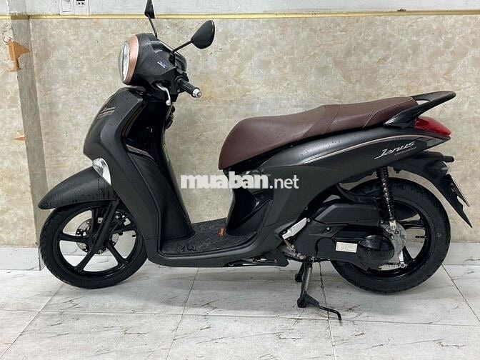 Janut khoá ga 2024 đen mù mới keng 43G1-553.87