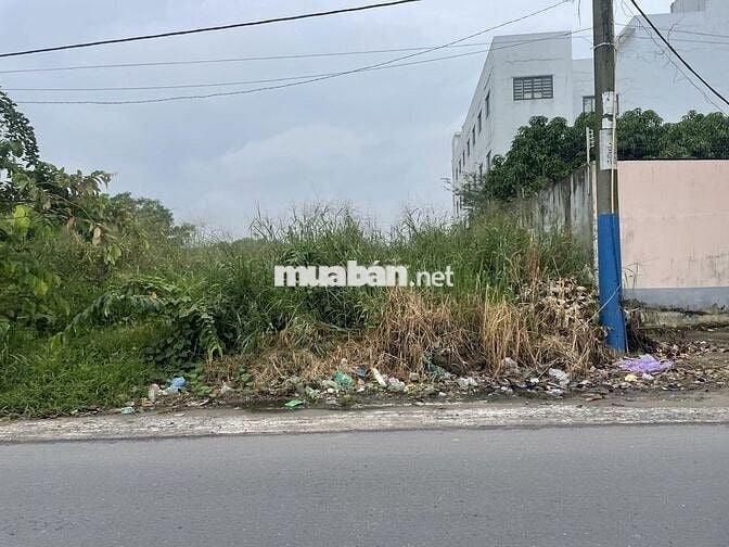 BÁN ĐẤT: 100m2 mặt tiền Nguyễn Văn Khạ - Tân An Hội - SHR