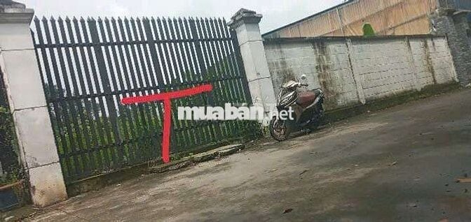 🙋‍♂️400M THỔ CƯ GẦN CHỢ HÓC MÔN ĐƯỜNG 2 XE 7 CHỖ NÉ NHAU