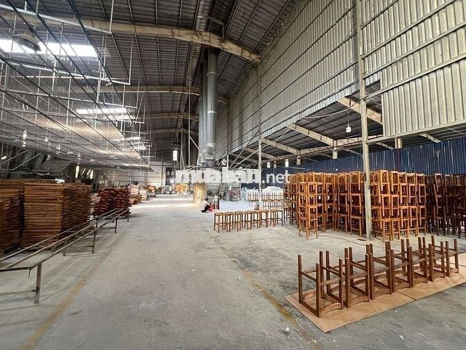 Xưởng 11000m2, chuyên gỗ, giá thuê 1.6 usd/m
