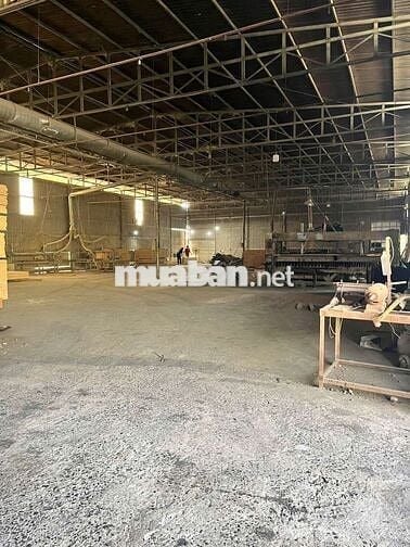 Xưởng xẻ gỗ 13679.2m2 giá 200 triệu, đầy đủ máy móc thiết bị