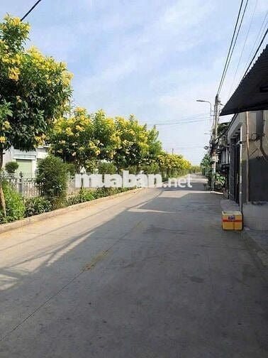 Cho thuê mt tl 37 kinh doanh tốt dt 6×15 giá 7tr chốt