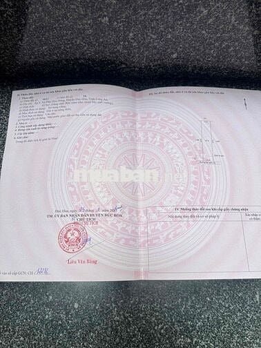 Đất ở sổ đỏ 457m2 gần đường Tỉnh lộ 10, huyện Đức Hoà, tỉnh Long An