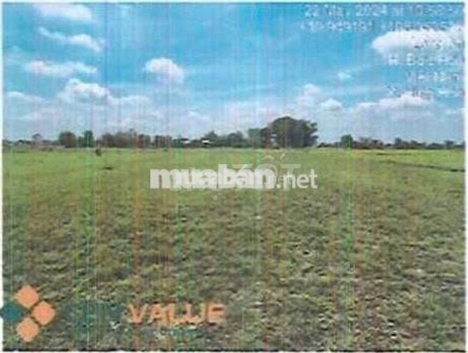 Bán ĐGTS đất tại xã Hiệp Hòa, Tỉnh Tây Ninh