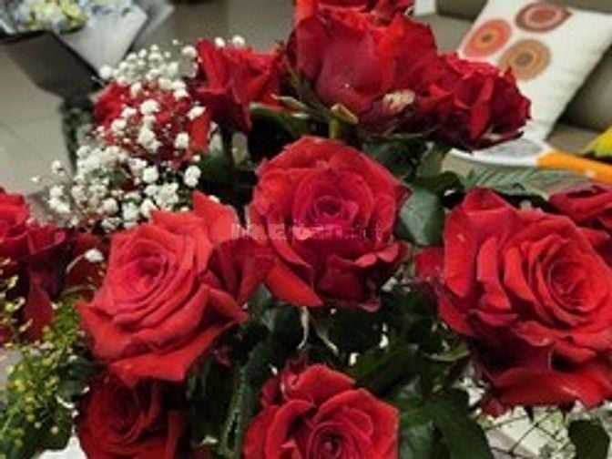 Nữ sinh năm 1973, hộ khẩu Hà Nội, chưa từng kết hôn, Mong muốn kết bạn