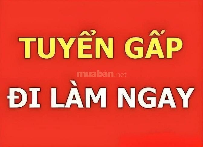 ☑️Tuyển LĐPT Nam Nữ Phụ Xếp Hàng Đóng Gói Sản Phẩm