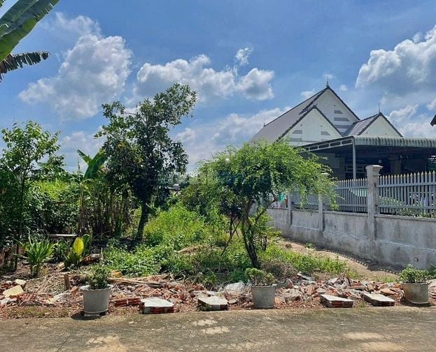 Kẹt tiền bán đất Ngộp ở Phước Thành-TPHCM, DT 550m2 thổ cư, Sổ sẳn