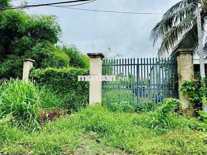 Bán đất tại đường số 418, Củ Chi 200m2, sổ đỏ Giá chỉ 650Tr