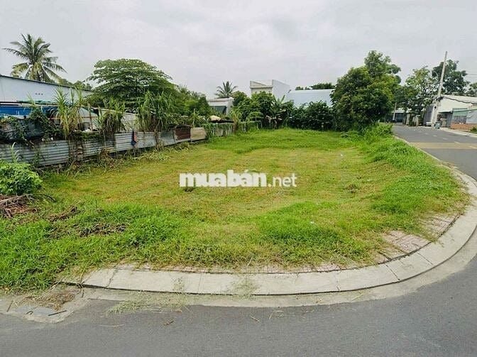 CHỦ NGỘP BÁN GẤP LÔ GÓC 2MT THỊ TRẤN CỦ CHI 250m2 900TR  SHR FUL THỔ