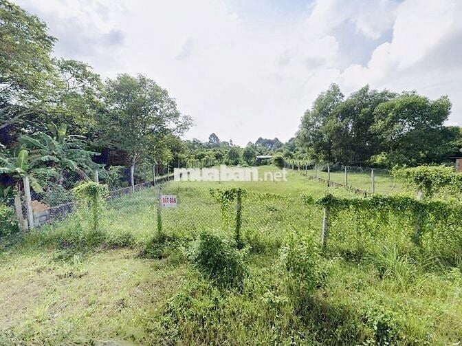 Chủ cần bán lô đất Củ Chi 840 triệu-SHR- công chứng ngay