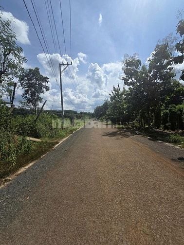 Cần bán gấp lô đất đẹp tại xã Lộc Hưng, huyện Lộc Ninh, tỉnh Bình Phướ