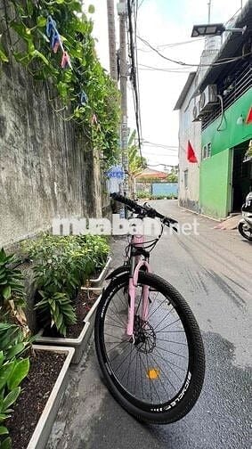 Nhà trong hẻm 1/, nhà nguyên căn, đường Quang Trung, hẻm thông