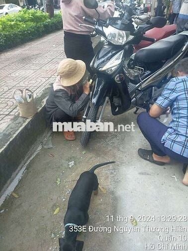 Mình bán future neo GT xem máy xin dàn ngoài sạch