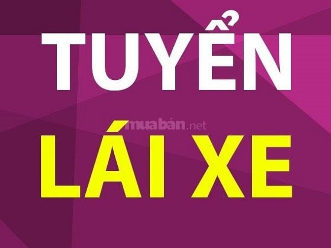 Công ty ở Phú Nhuận cần tuyển 1 tài xế đưa đón lãnh đạo