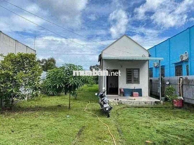 Chủ đất làm ăn thua lỗ nợ ngân hàng nên cắt lỗ 150tr để bán nhanh miến