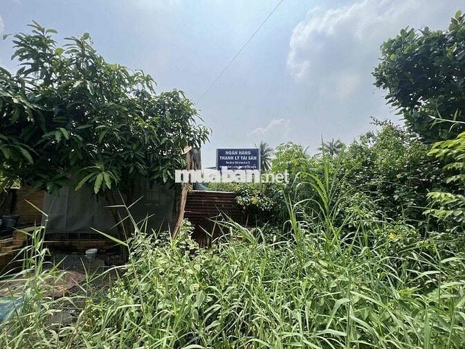 Bán bất động sản tại xã Hiệp Hoà, huyện Đức Hoà, tỉnh Long An, giá 1.1