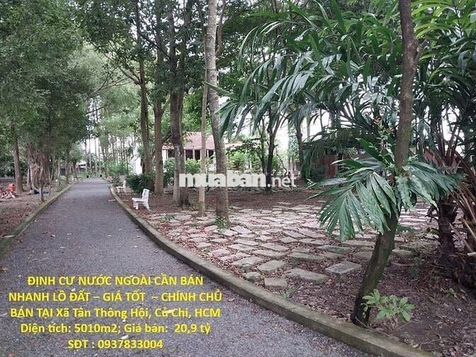 BÁN NHANH LÔ ĐẤT GIÁ TỐT CHÍNH CHỦ BÁN TẠI Xã Tân Thông Hội,Củ Chi,HCM